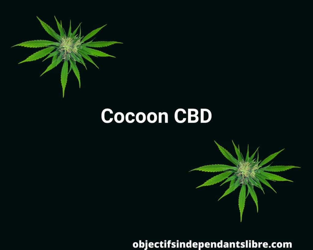 Cocoon CBD : plus qu'un VDI, un confort de vie